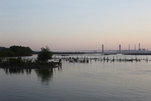 黄昏湖畔静谧景致