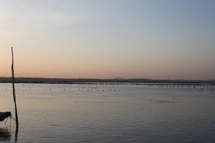 黄昏下的宁静水面