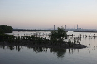 黄昏下的宁静水域景观