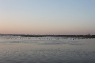 黄昏下的宁静水域