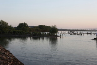 湖畔黄昏静谧水景