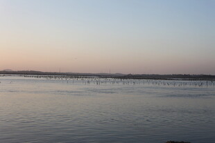 黄昏下的平静水面