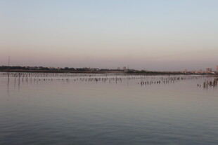 黄昏下的宁静水域景观