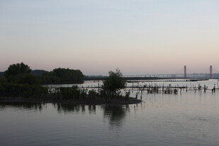 黄昏湖畔静谧风光