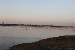 黄昏下的宁静湖边景色