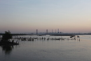 黄昏下的宁静水域景观