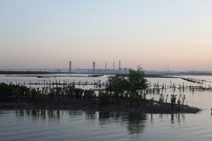 黄昏湿地景观图