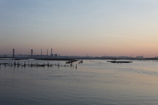 黄昏下的宁静港湾