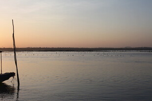 黄昏湖畔的静谧景致