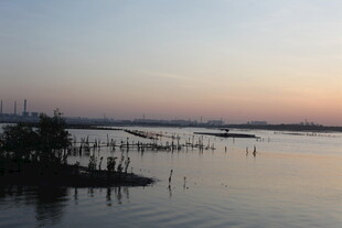 黄昏下宁静的水域景观