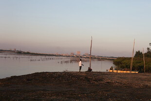 黄昏岸边的静谧景象