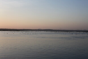 黄昏下宁静的开阔水域