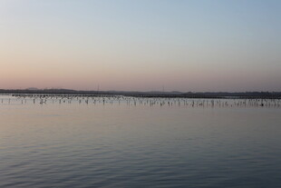 湖畔日落时分的宁静水面