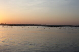 夕阳下的平静水面