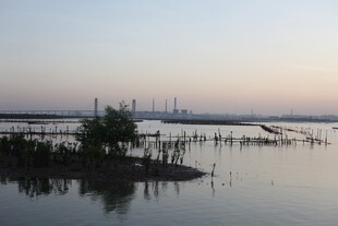 黄昏下的宁静水域风光