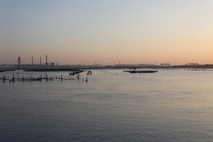 黄昏下的宁静水域景观