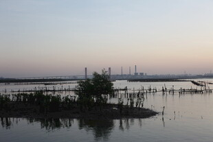 黄昏下的宁静水域景观