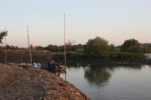 河边垂钓者的静谧时光