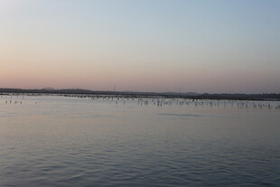 黄昏下宁静的广阔水域