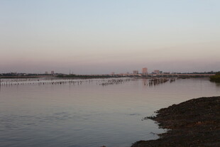 黄昏下的宁静河岸风光