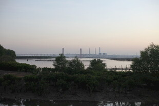 黄昏下的水域与远处设施