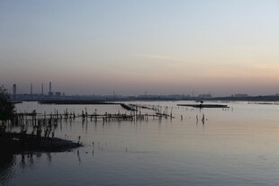 黄昏下宁静的水边景象