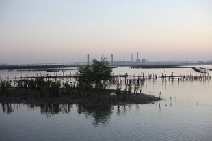 黄昏下的水上木桩景观