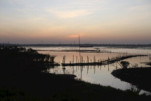 黄昏下的宁静水边景致