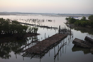水上木栈道与静谧小船