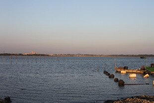 黄昏下宁静的水边景象