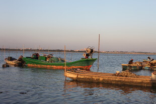海上渔船停泊景象