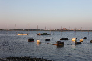 水面漂浮的烛光浪漫景象