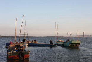 河畔停泊的多彩船只