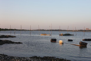 海滨暮色中的浮标景观