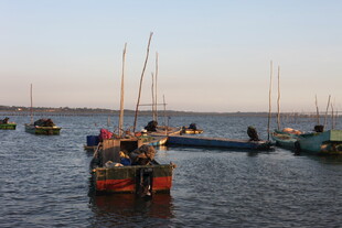 海上渔船停泊景象