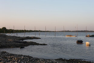 黄昏下的宁静水边景致