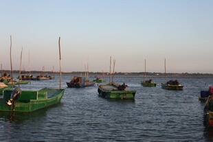 海上停泊的多彩船只