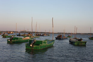 夕阳下的静谧景象