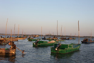 海港中的多彩船只