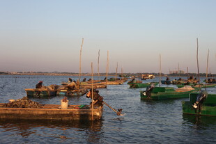夕阳下的宁静码头场景