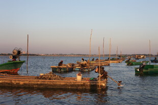 黄昏海港渔船停泊景象