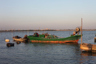 海港中的停泊渔船