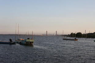 海上船只航行景象