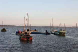 海上停泊的多彩船只
