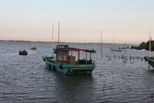 海上停泊的绿色渔船