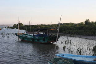 河畔停泊的多彩船只