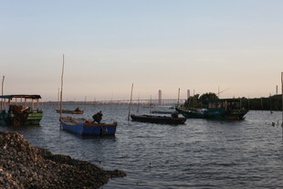 黄昏海港停泊的多艘船只