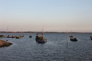 海上船只停泊的宁静画面