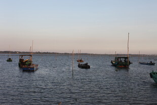 海上停泊的多彩船只