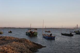 海边停泊的多彩船只